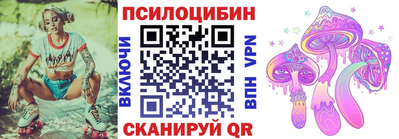Галлюциногенные грибы Psilocybe  Барыш 